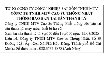 CÔNG TY TNHH MTV CAO SU THỐNG NHẤT THÔNG BÁO BÁN TÀI SẢN THANH LÝ