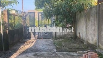 Cho Thuê Nhà Gần Ngã 3 Nguyễn Thái Học