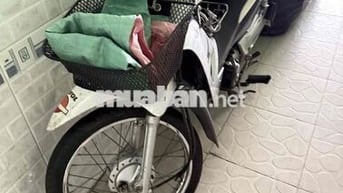 Wae A 2016 dọn kiểng bstp