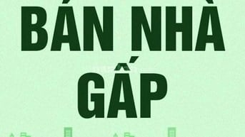 Cần bán nhà hẻm xe hơi, đường Phạm Thế Hiển, P.6, Q.8, vị trí đẹp