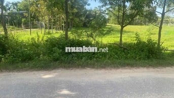 MẶT TIỀN ĐẸP – ĐƯỜNG NHỰA 10m5 – NAM SƠN, HÒA TIẾN, ĐÀ NẴNG