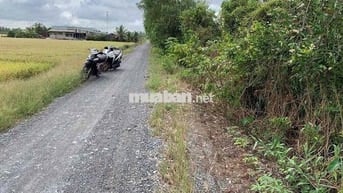đất mỹ thạnh , thủ thừa -long an , giá 450 triệu/1000mv , lên thổ 50m
