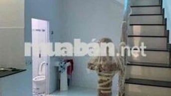 Cho thuê nhà trệt lầu nguyên căn 4x13m 3phòng hẻm 359 Nguyễn Văn Cừ