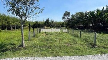 Bán đất ngay gần KCN Trảng Bàng 233m2 7x33 giá 760triệu,sổ sẵn,còn bớt