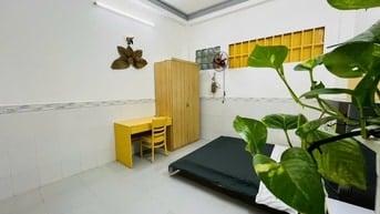 CHO THUÊ CHDV GIÁ RẺ NGAY PHAN XÍCH LONG