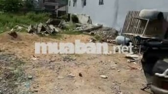 Đất thổ cư 8*25 mặt tiền đường nhựa tân long