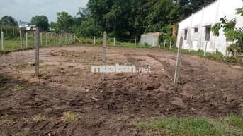 Mua nhanh bán nhanh cần tiền hạ giá bán gấp 302m2 giá 480tr