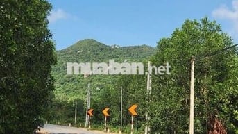 Bán đất xào Long Mỹ , xã Phước Hải 2,8 tỷ