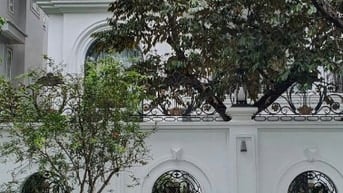 Bán biệt thự phố Trần Thủ Độ - KĐTM Pháp Vân , DT 300 m2, lô góc