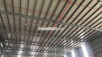 Cần cho thuê gấp kho 4.500m², KCN Hải Sơn , Long An , hợp đồng lâu dài