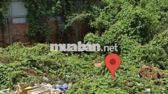 Đất to đẹp giá hạt dẻ dt 81,5m2 giá 867tr Bình Chánh