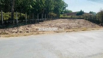 Đất lớn giá rẻ! 585m² Gia Lộc, Trảng Bàng– Sổ riêng, CHỦ BÁN 750 triệu