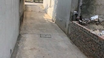 BÁN GẤP 56M ĐẤT THƯỢNG PHÚC, TẢ THANH OAI GIÁ 4,5 TỶ