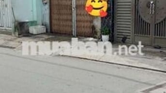 Bán Nhà Hẻm Nhựa 8 m + Lề, 125 m2, Đường Liên Khu 4-5, BHHB, Bình Tân