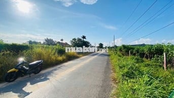 ĐẤT ĐẸP GIÁ RẺ – ẤP PHƯỚC ĐÔNG, PHƯỚC THẠNH, TÂY NINH
