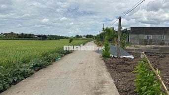 🌈🌈 QUÁ RẺ-6,5x33m Đường Nguyễn Văn Ánh(cách uỷ ban Bình Trinh 300m)