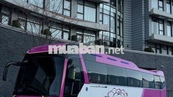 Hyundai Universe Xpress Luxury 2009 - 506699 km