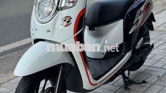 Scoopy máy zin biển 67