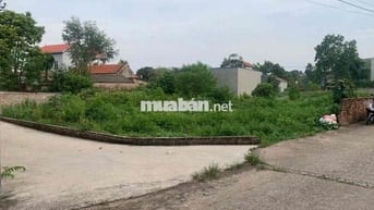 Bán Đất – Phú Cường (Minh Phú - SS)- 458m²- Ngần 11T/1m2-Full TC – Lô