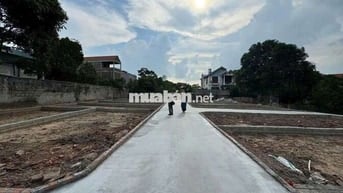 🌽 RẺ ĐẸP 👉 Đất Tại Tử Dương (Tía) , Tô Hiệu, Thường Tín , hà nội (cũ