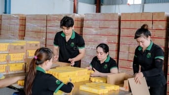 Tuyển gấp 2 nhân viên LĐPT đóng gói bao bì