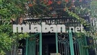 Hạ giá bán lỗ căn nhà 1T1L  hẻm xe hơi 6m, Bình Hưng 69m2 / 2ty2 (TL)