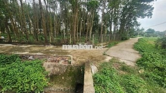 Bán lô đất 2 MT đường Võ Văn Điều, cạnh đường cao tốc (1579 m2) 1 tỷ 7