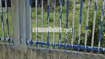 Lý do khó nói cần bán đất dt 106,5m2 giá 795tr Bình Chánh