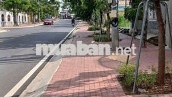 Bán đất cho mẹ đi lấy chồng,mặt tiền đường Cầu Chợ Đệm,tt Tân Túc 100m