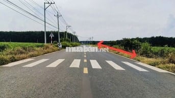Cơ Hội Vàng: Đất Ngộp Chính Chủ, Sổ Sẵn, Công Chứng Liền Tay