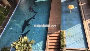 Cực Hot - Dolphin Plaza, Trần Bình 198m2 3PN đủ đồ đẹp giá tốt 22tr/th
