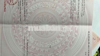 bán đât tặng nhà xưởng ngay vòng xoay An Phú 163m
