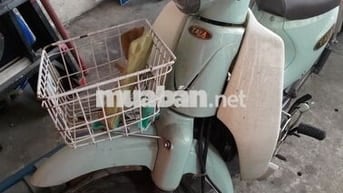 Xe cub taya thanh lý