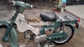Cub 50/78 cho học sinh