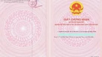 Bán chung cư 52 đường 322 Phạm Hùng Q8 thang máy lầu 4
