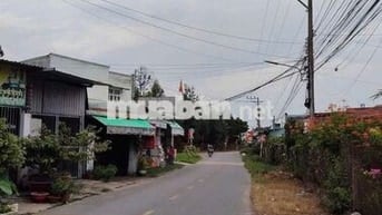 🔥 Đất Đẹp Tân Hiệp – 50m Ra Nguyễn Thị Tươi – Giá Chỉ 2 Tỷ 7