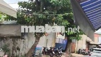 SIÊU PHẨM ĐẦU TƯ. KIỆT TO HƠN MẶT TIỀN, ĐƯỜNG ĐIỆN BIÊN PHỦ