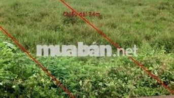 Bán mảnh đất nông nghiệp 257m2 mặt đường nhựa 2 oto tránh nhau