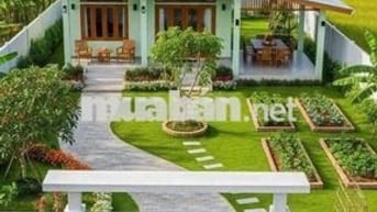 Đất vườn QH khu dân cư phủ hồng hết đất DT 890m2 giá đầu tư