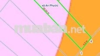 CHÍNH CHỦ BÁN ĐẤT NỀN - XÃ AN PHƯỚC, HUYỆN LONG THÀNH, TỈNH ĐỒNG NAI