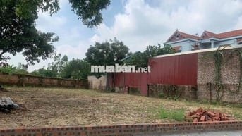 🔥 G.i.á Đẹp Nhất Khu Vực – Thái Lai (Minh Trí – Sóc Sơn) – 358m² – 2,4