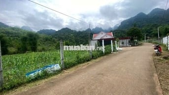 Bán đất bám QL12B – gần suối khoáng Kim Bôi – sổ đỏ sẵn, chỉ 1,9 tỷ