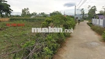 Đất Thái Cẩm - Điện Tiến 180 m2