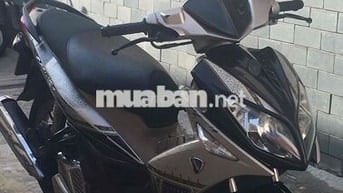 Nouvo 4 vàng đen , giá sinh viện