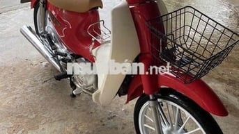 Cub 50cc