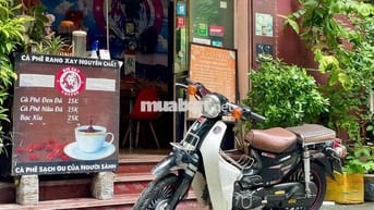 CUP 50 CC HYOSUNG KOREA