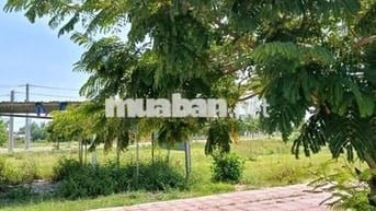 BÁN NHANH LÔ ĐẤT GẦN BIỂN - CHỢ - CÁCH HỘI AN 7p, GIÁ 16tr/m2