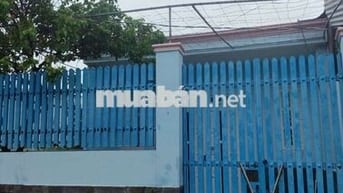 Nhà cho thuê Cấp 4 vàm ô đại phước ( cây xăng hiệp quế, bds đông SG)