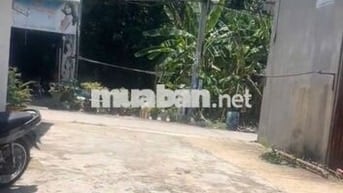 BÁN ĐẤT THỊ XÃ BẾN CÁT PHƯỜNG TÂN ĐỊNH  BÌNH DƯƠNG
