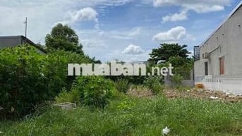 Đất nền tại đường Nguyễn An Ninh,Cần Giuộc chỉ 610tr/ 125m2
